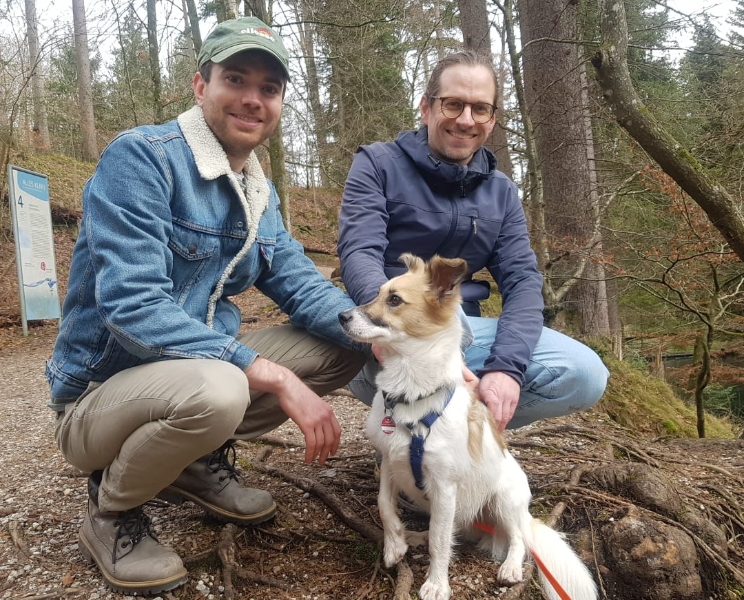 Simba am Pressegger See