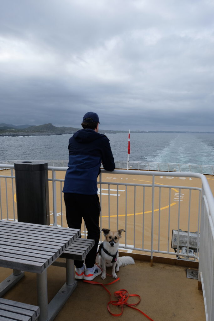 Hund Simba auf der Fjordline-Fähre nach Bergen