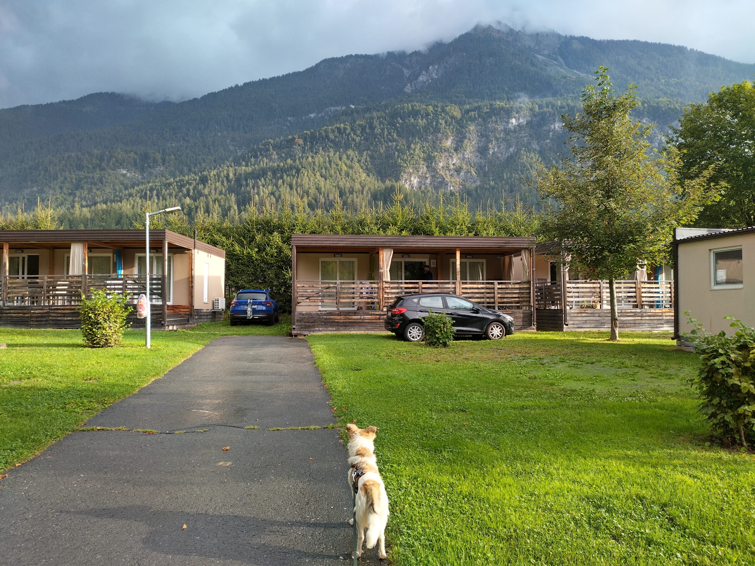 Europarc Hermagor Mobile Home mit Hund